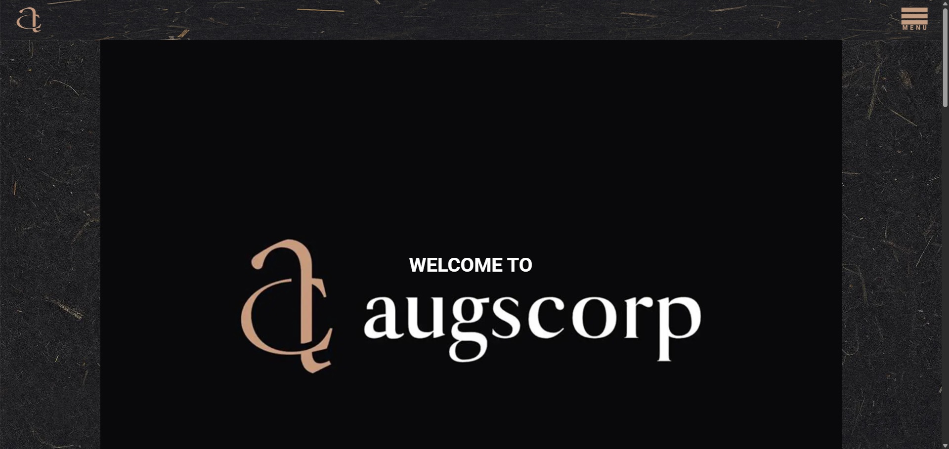 Michael ogolor Augscorp